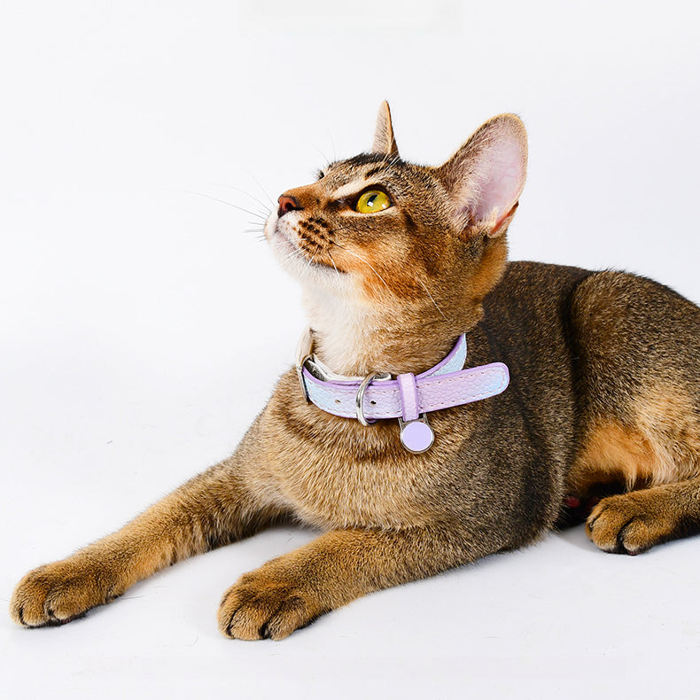 Pet Collar