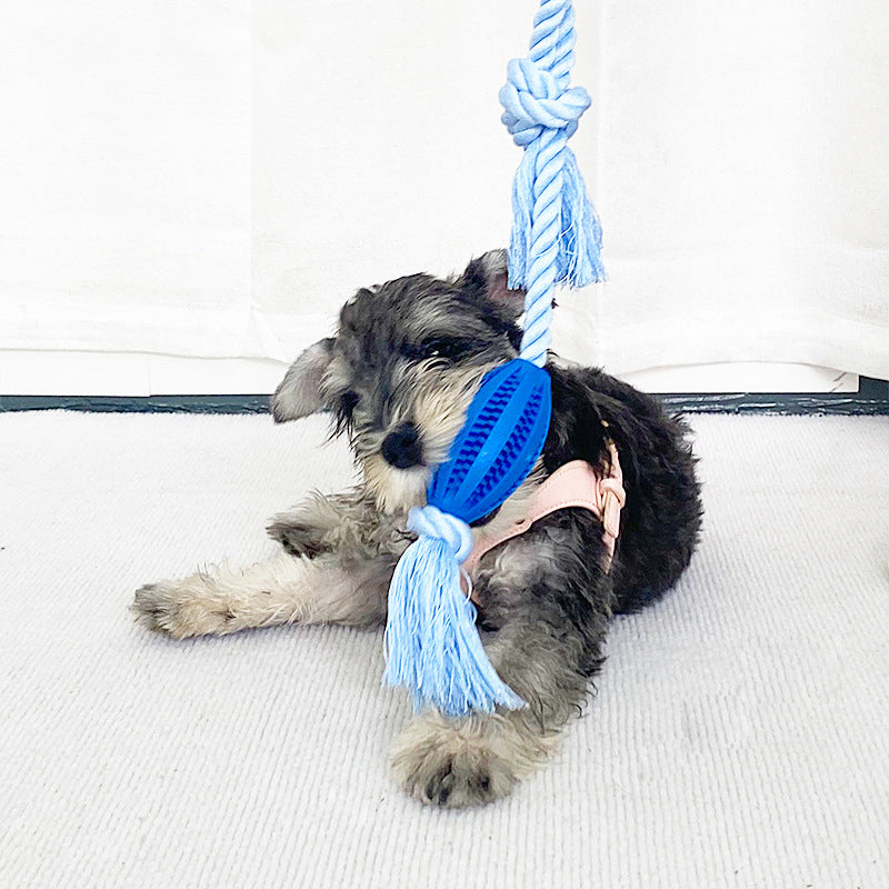 Pet Toys