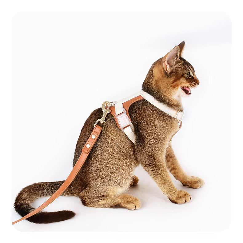 Pet Harnesses