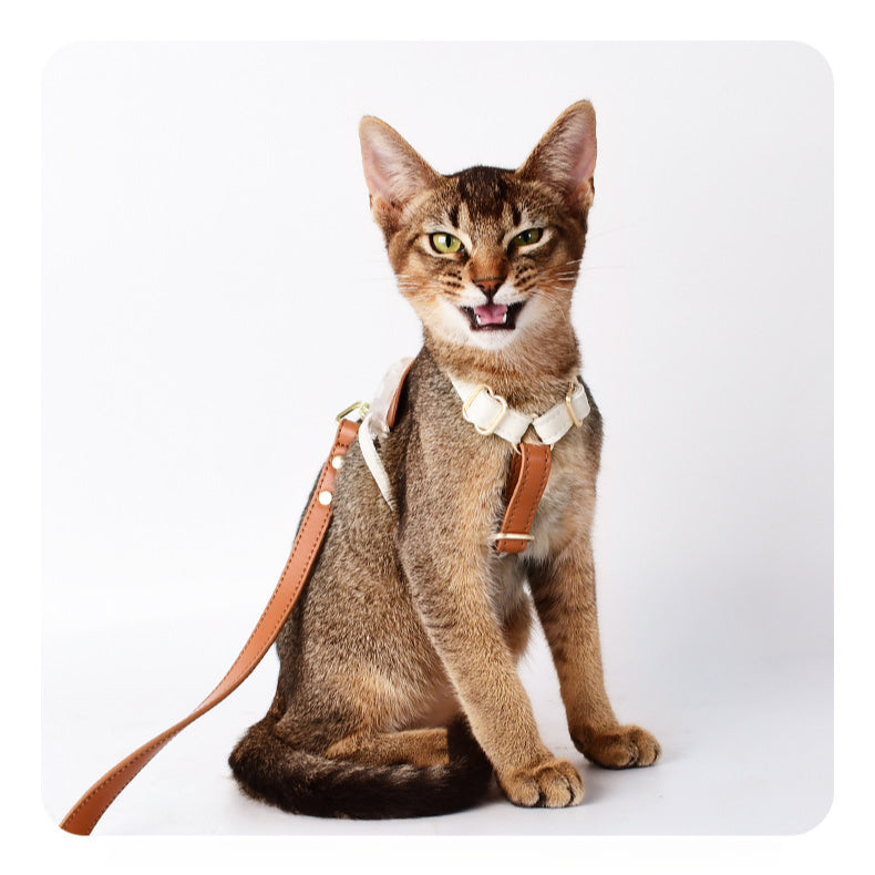 Soft Leather Comfortable No Choking Step-in Pet Harness Leash Set