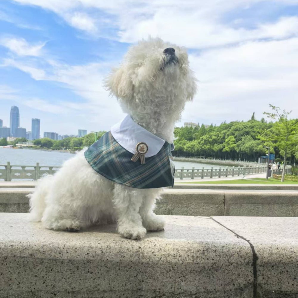 Classic Plaid Fabric Fake Collar Pet Dog Cat Saliva Bib Collar