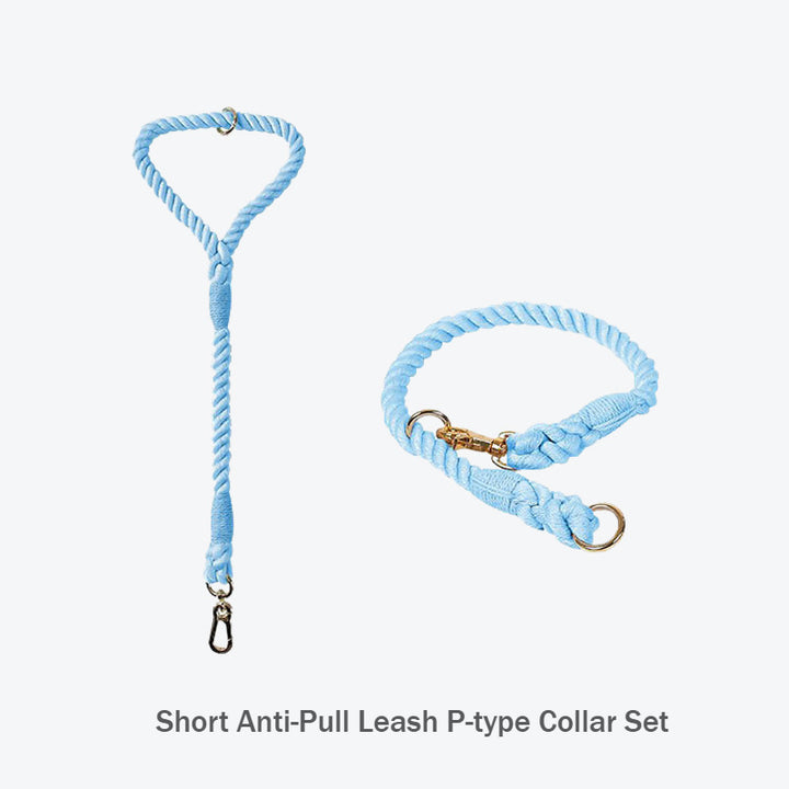 Hand-woven Rainbow Short Anti-Pull Dog Leash P-type Pet Collar Set
