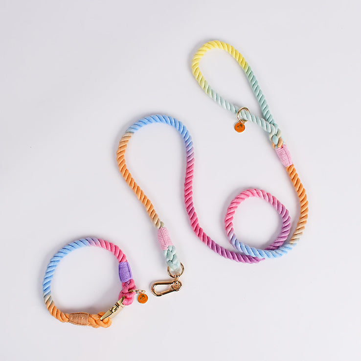 Hand-woven Cotton Nautical Knot Collar Dog Anti-Pull Leash Set