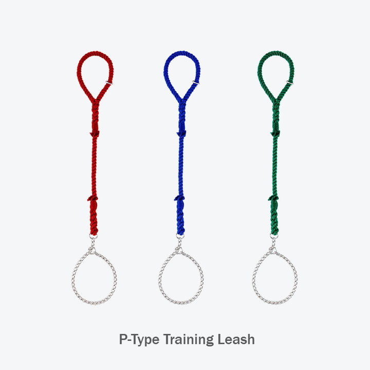 Nautical Knot Multicolor Anti-Pull P-type Large Dog Training Leash
