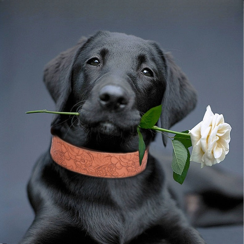 Embossed PU Leather Soft Sponge Lining Adjustable Pet Dog Collar