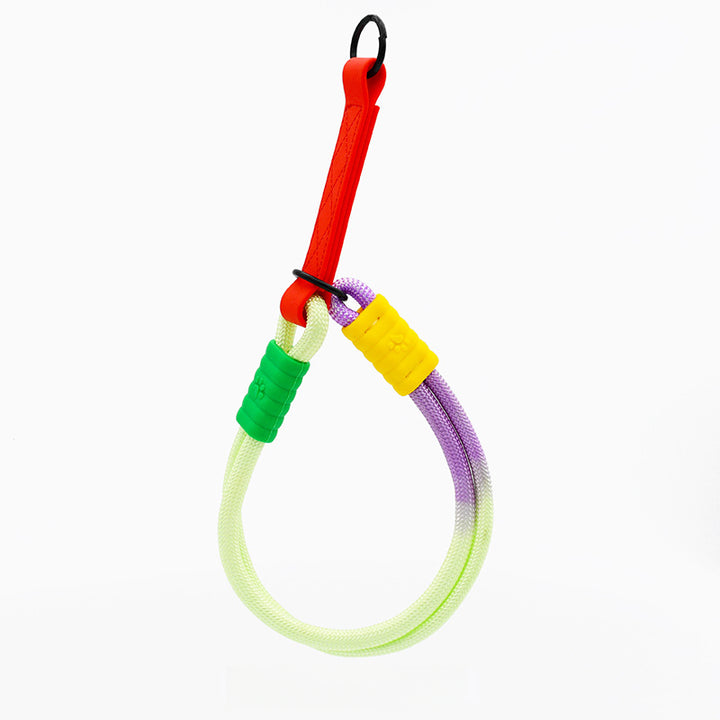 Foam Handle Oblique Span Waist Nylon Double Leash P-Type Collar Set