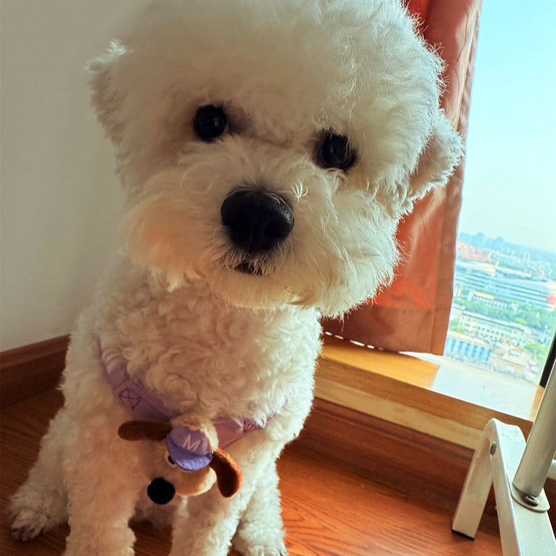 Candy Color Velvet Doll Pet Dog No Choking Harness Leash Set