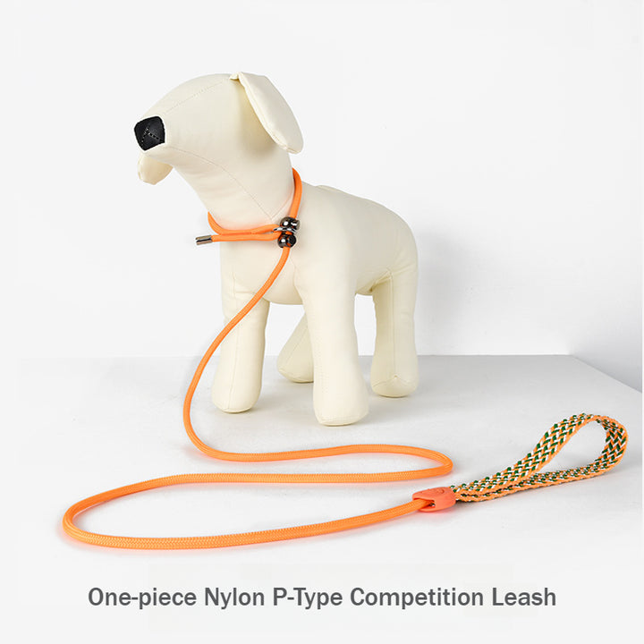 Professional One-piece Nylon P-Type Show-Grade Training Competition Leash