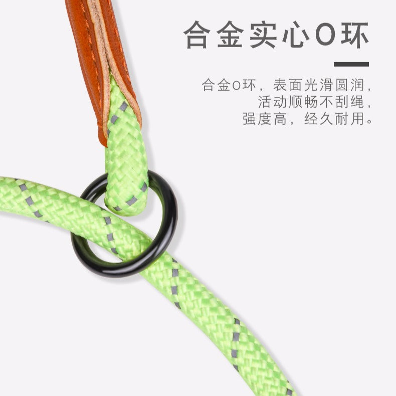 Diving Fabric Handle Reflective No-Pull Pet Training P-type Leash