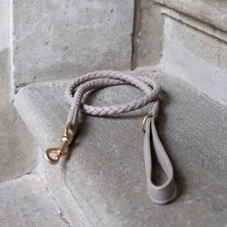 Soft Woven Leather Gold Metal Dog Anti-Pull Leash Pet Collar Set