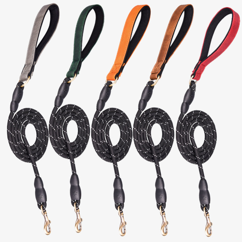 Double-layer PU Leather D-Ring Adjustable Belt Buckle Pet Collar