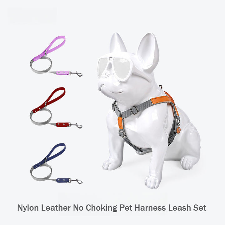 Comfortable Fit Nylon Leather No Choking Pet Harness Leash Set