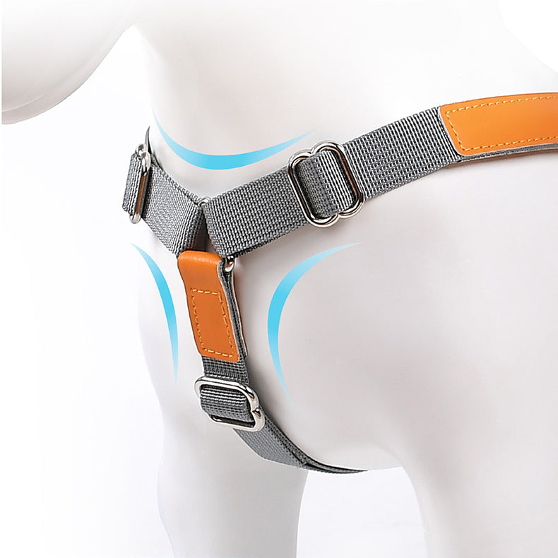 Comfortable Fit Nylon Leather No Choking Pet Harness Leash Set