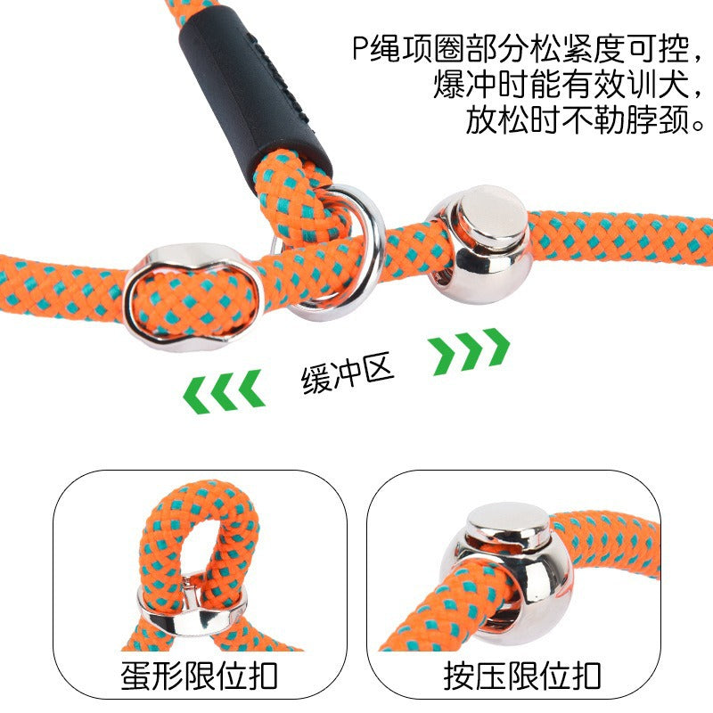 Nylon Professional Competition P-type Leash‌ with Poop Bag Carrier
