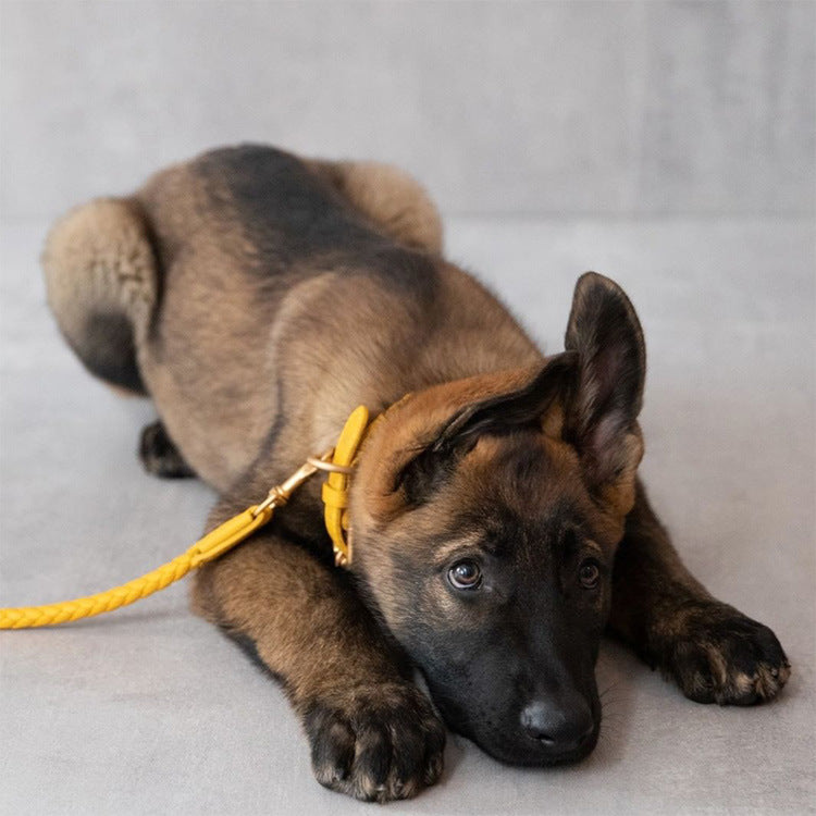 Soft Woven Leather Gold Metal Dog Anti-Pull Leash Pet Collar Set