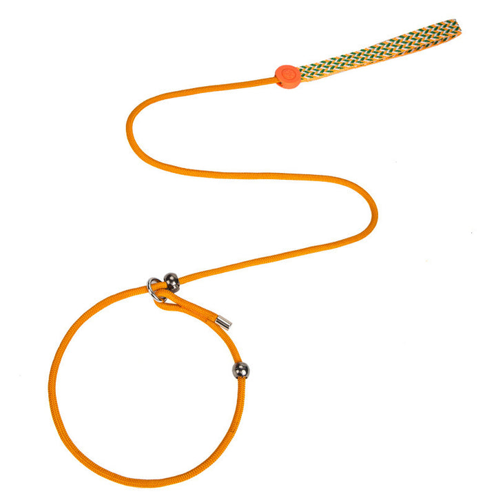 Professional One-piece Nylon P-Type Show-Grade Training Competition Leash