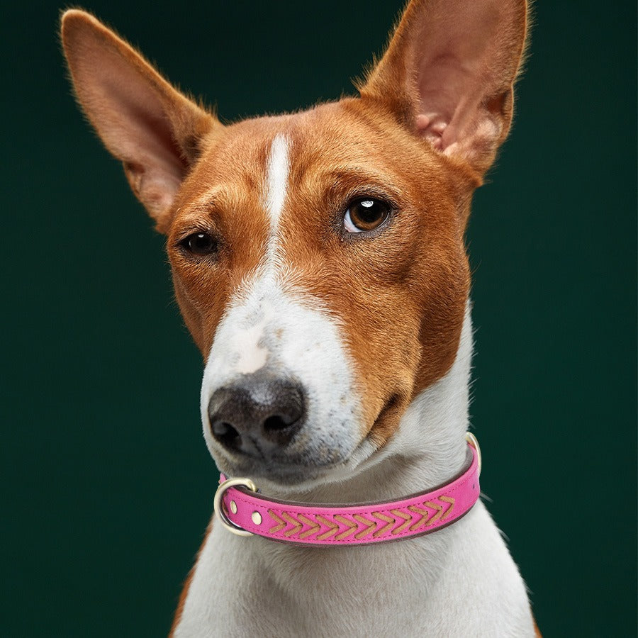 Double Layer Woven PU Leather Adjustable Belt Pet Dog Collar