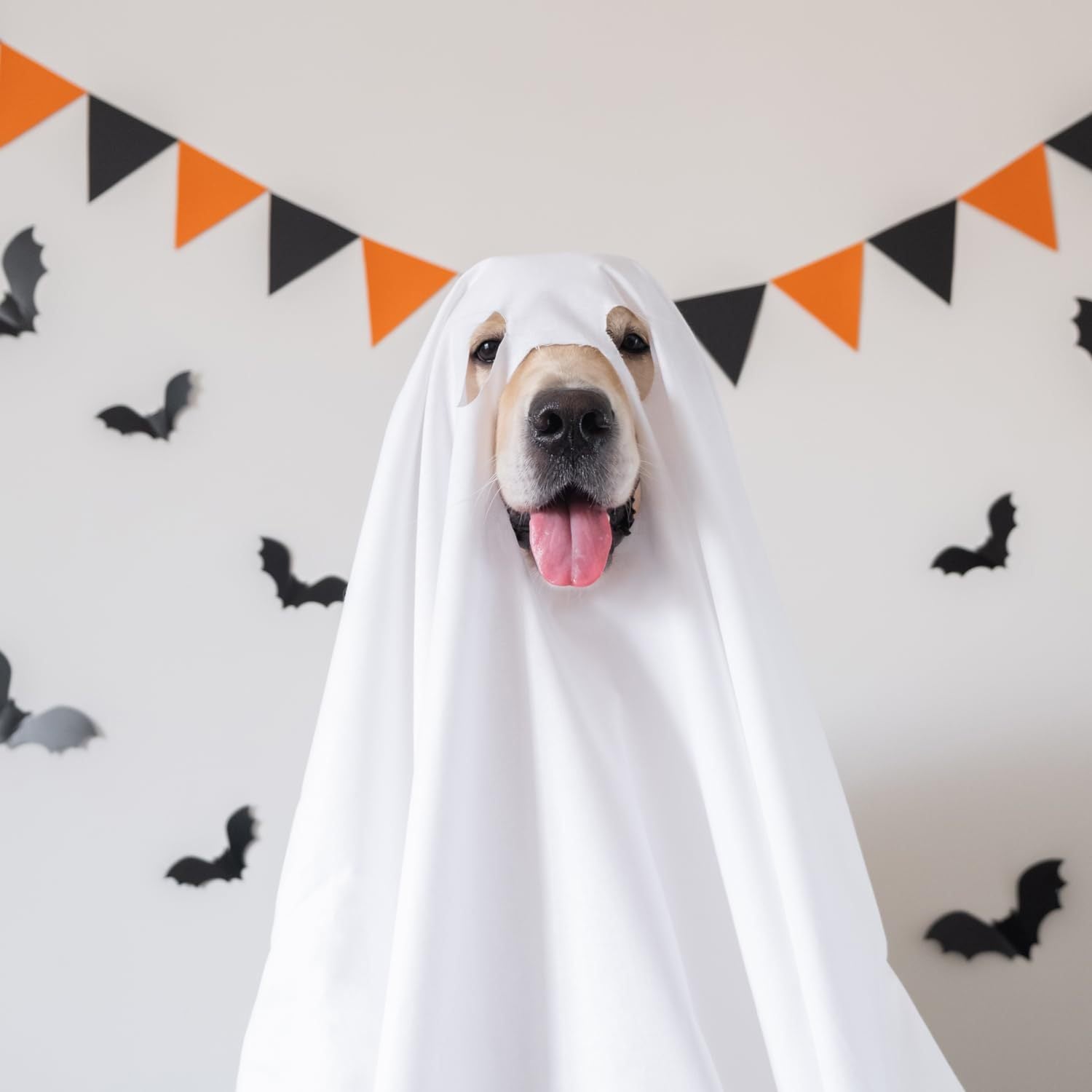 Halloween Party Ghost Costume Props Pet Clothing Cape Apparel