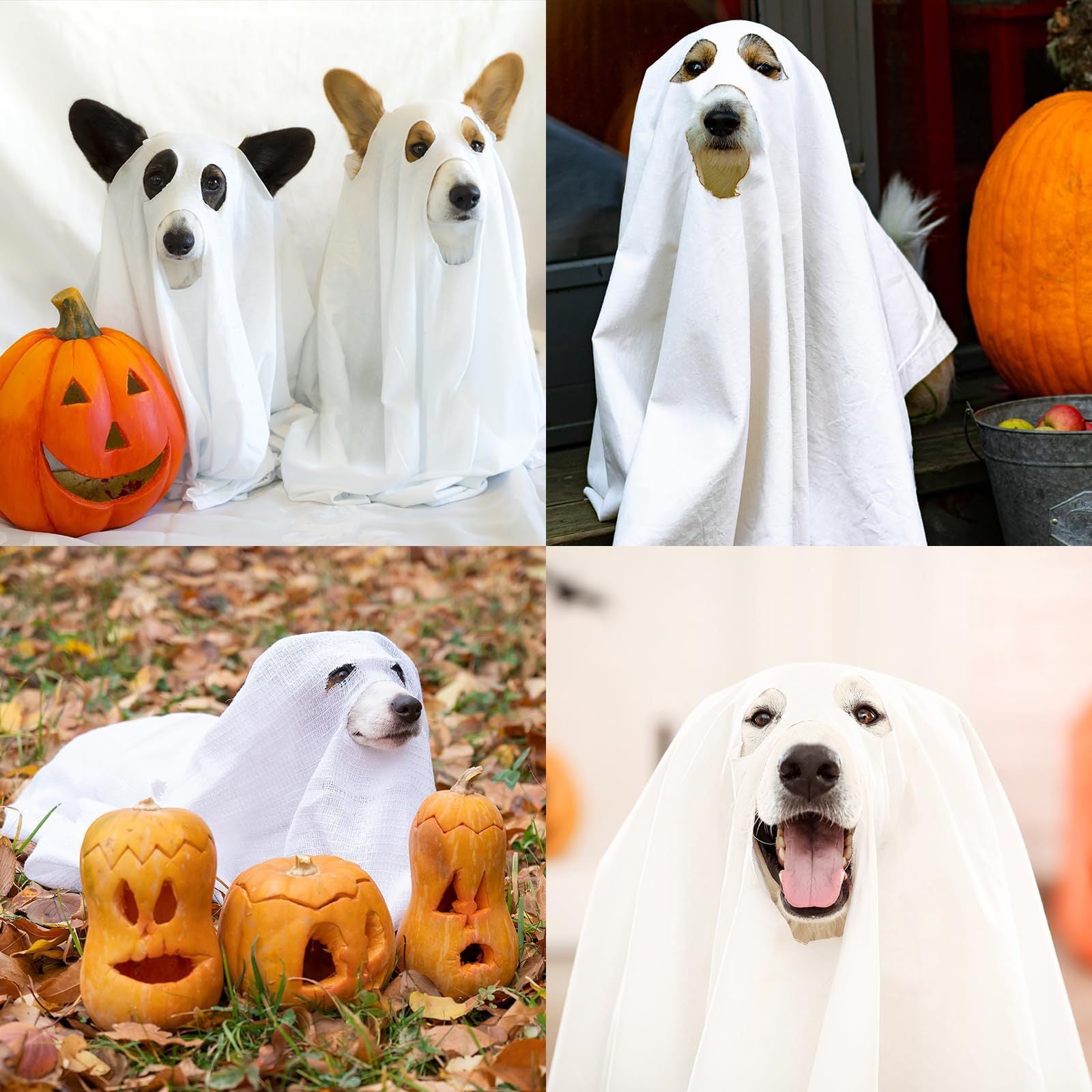 Halloween Party Ghost Costume Props Pet Clothing Cape Apparel