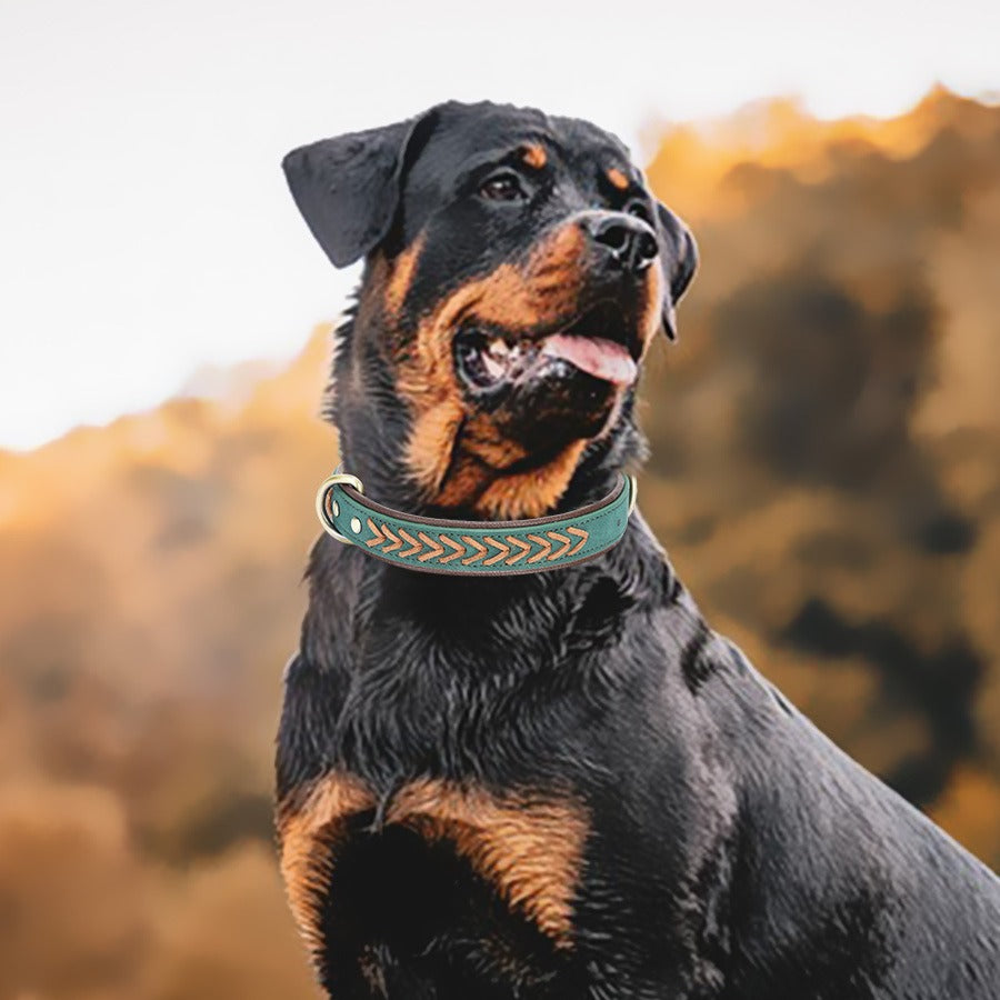 Double Layer Woven PU Leather Adjustable Belt Pet Dog Collar