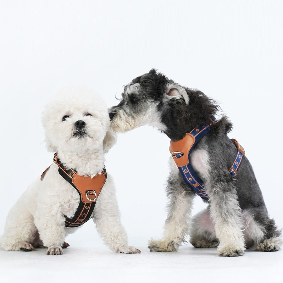 Breathable Fabric Leather Shock Absorption Vest Pet Dog Harness