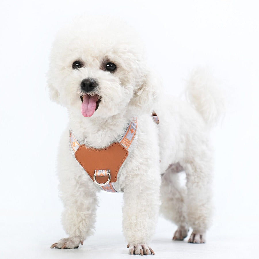 Breathable Fabric Leather Shock Absorption Vest Pet Dog Harness