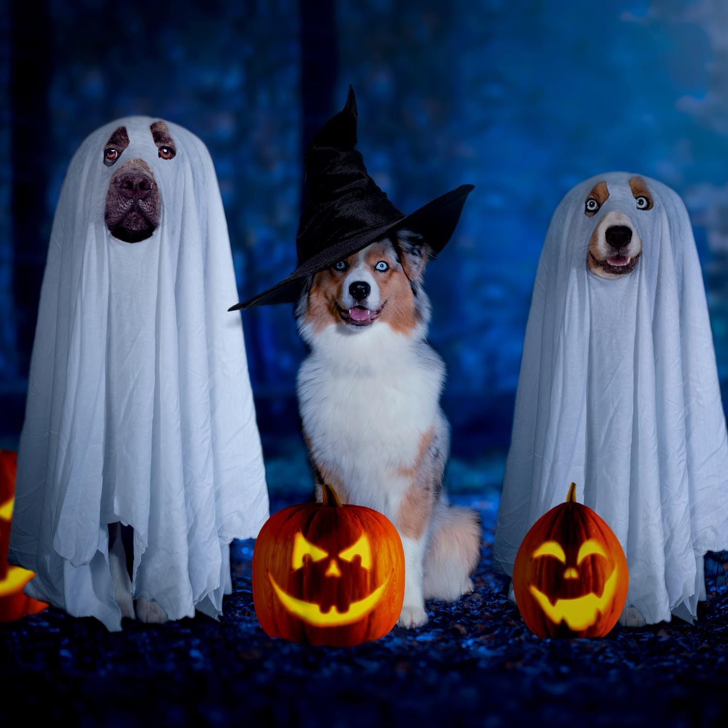 Halloween Party Ghost Costume Props Pet Clothing Cape Apparel