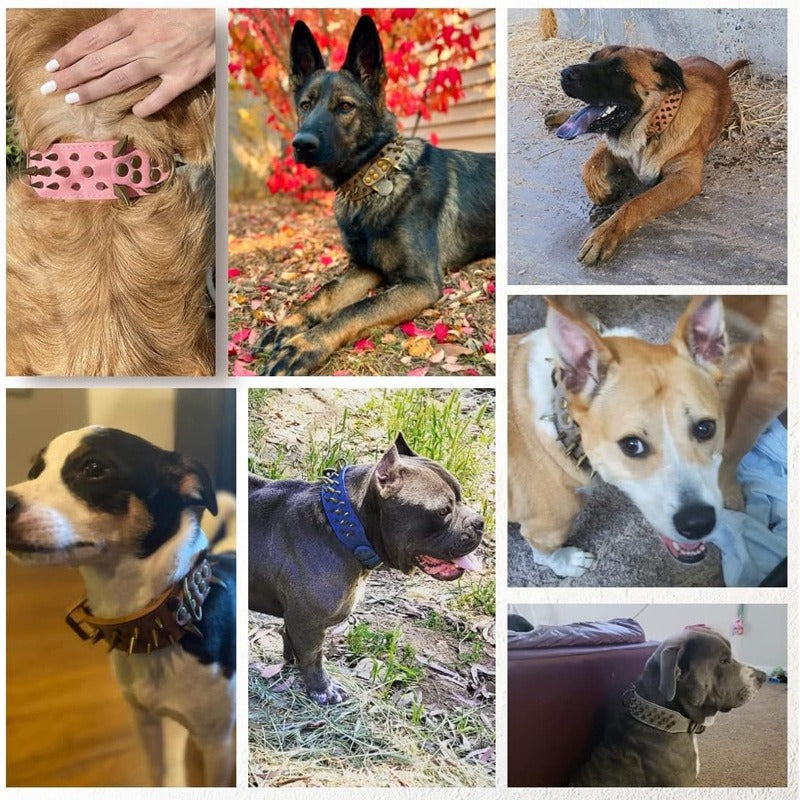 Bullet Rivet Large Dog Adjustable Retro PU Leather Pet Collar