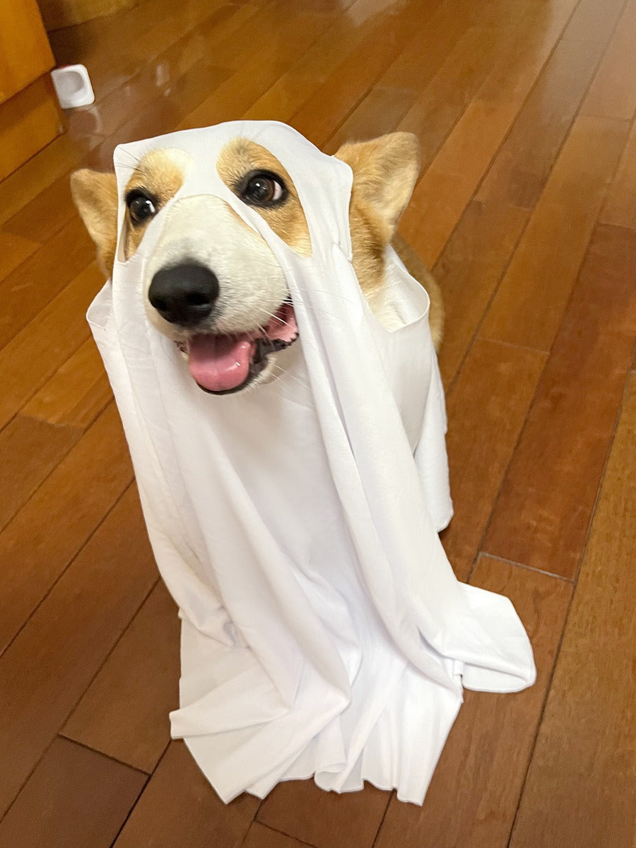 Halloween Party Ghost Costume Props Pet Clothing Cape Apparel