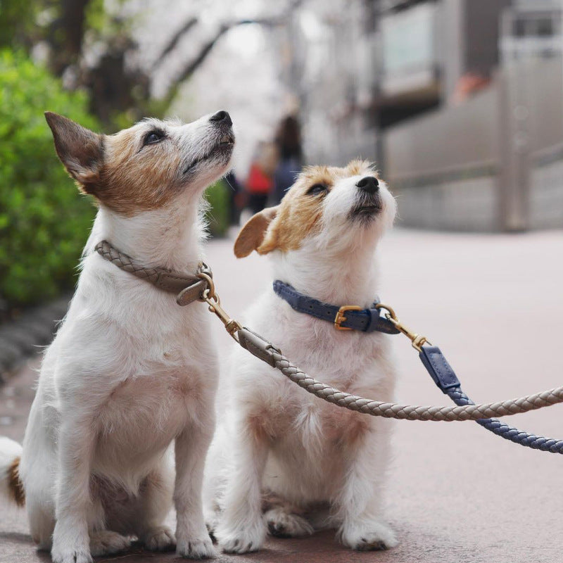 Soft Woven Leather Gold Metal Dog Anti-Pull Leash Pet Collar Set