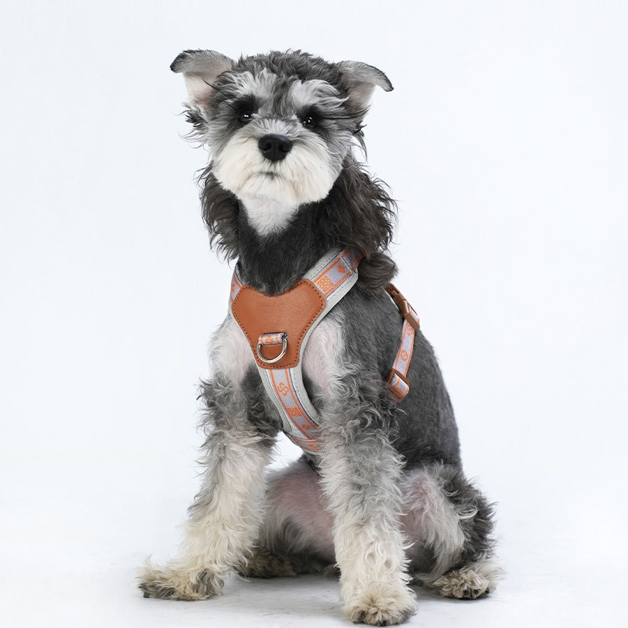 Breathable Fabric Leather Shock Absorption Vest Pet Dog Harness
