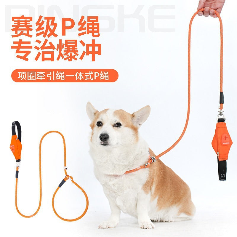 Nylon Professional Competition P-type Leash‌ with Poop Bag Carrier