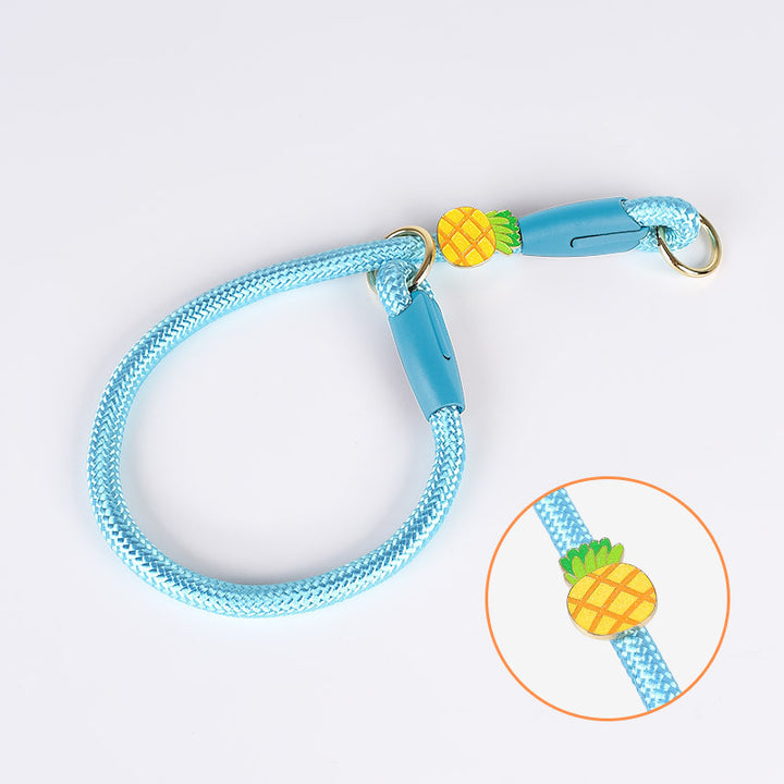 Multicolor Nylon P-type Large Dog Collar Limit Buckle Anti-Pull Leash Set
