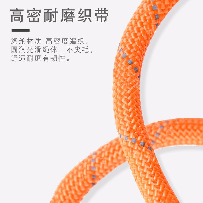 Diving Fabric Handle Reflective No-Pull Pet Training P-type Leash