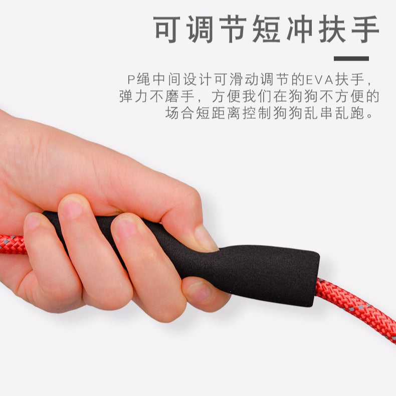 Diving Fabric Handle Reflective No-Pull Pet Training P-type Leash