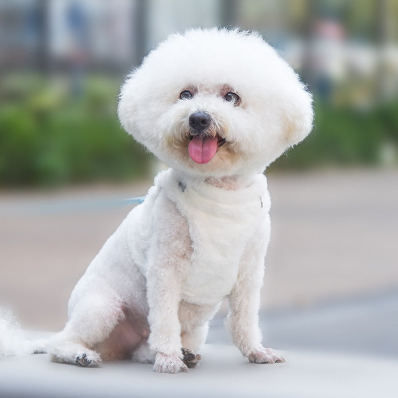 Warm Comfortable Velvet Adjustable Pet Dog Harness Leash Set